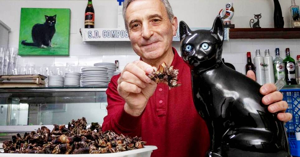 Manolo, alma eterna en O gato Negro
